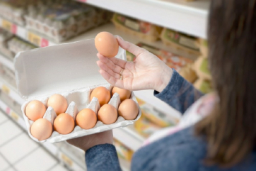 Производители яиц попросили ФАС проверить цены